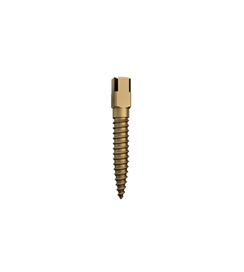 DENTATUS POSTE TITANIO 15UDS.
DENTATUS