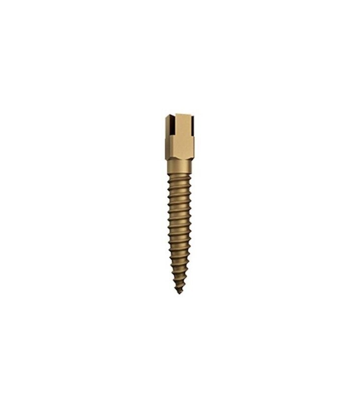 DENTATUS POSTE TITANIO 15UDS.
DENTATUS