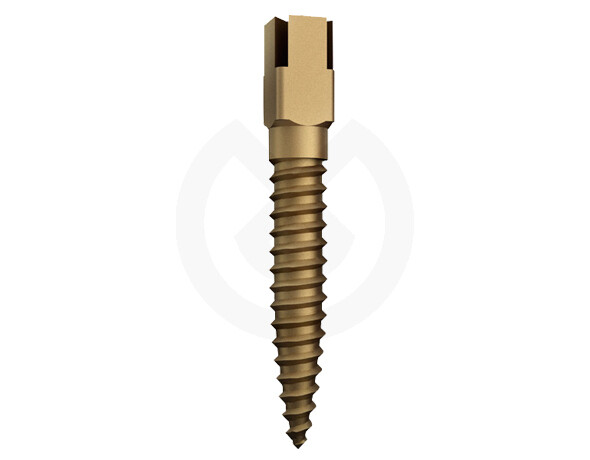 DENTATUS DORADOS 15UDS.
DENTATUS