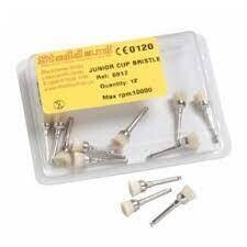 CEPILLOS PROFILAXIS DE CERDA NATURAL
STODDARD