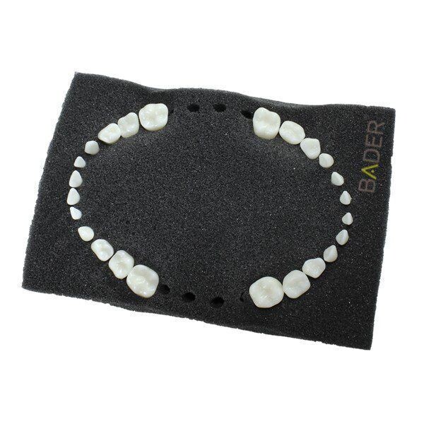 Dientes reposición para tipodonto tipo Nissin pediátrico BADER® DENTAL