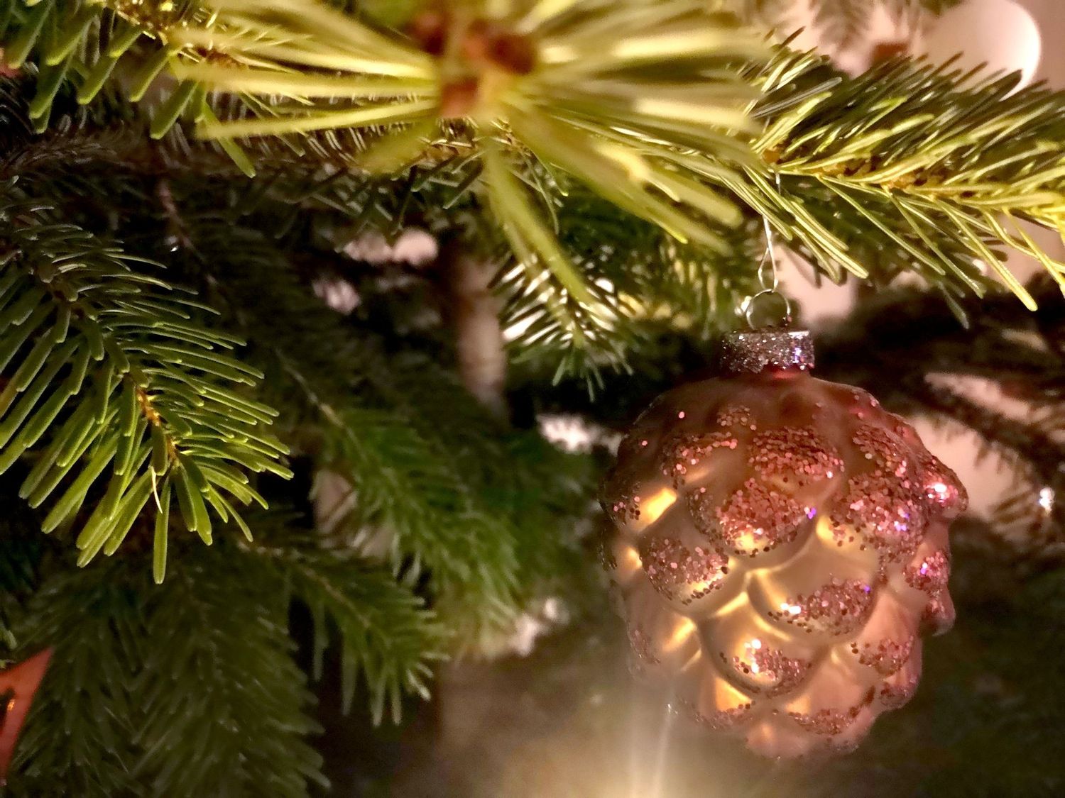 Weinpaket "Winterzeit" - trocken bis feinherb