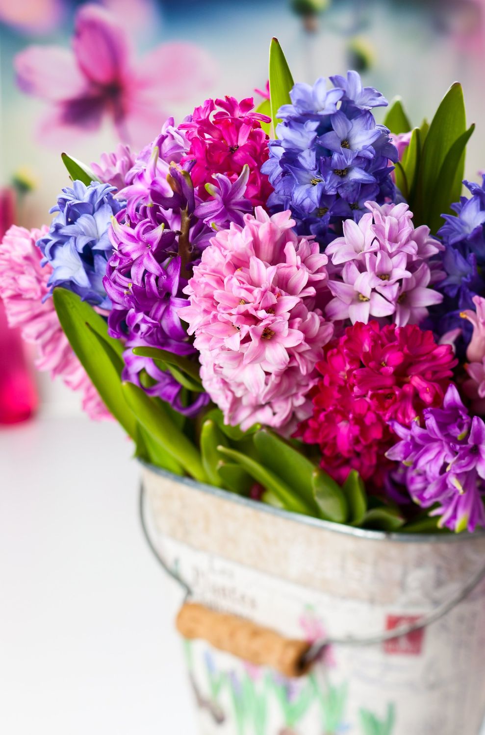 Weinpaket "Ostersonntag"