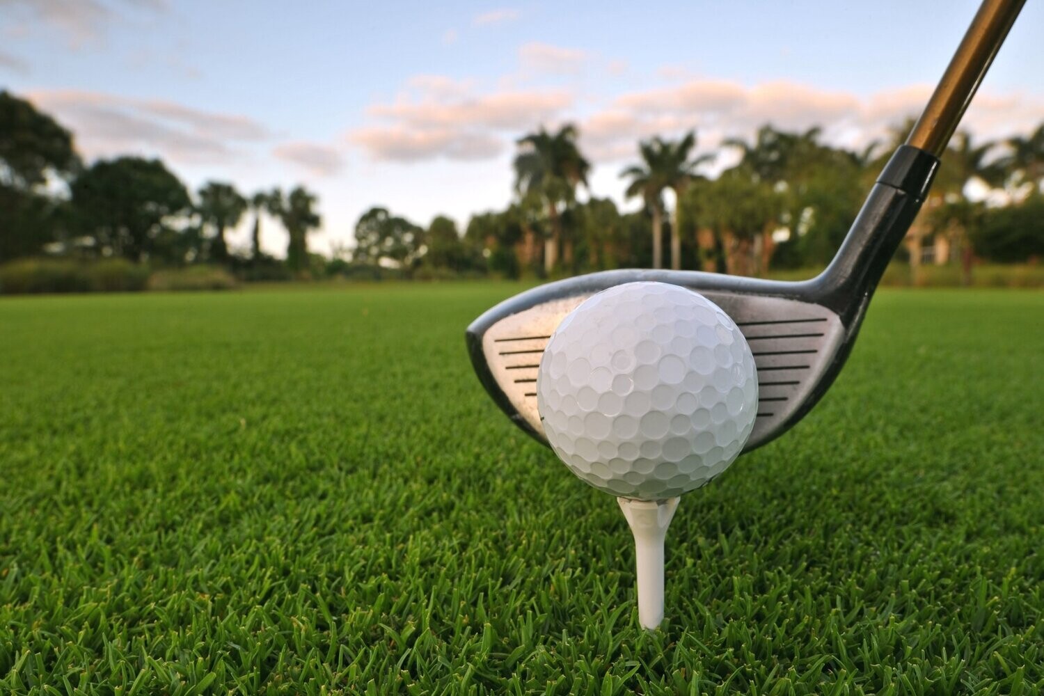 Hole in One Sponsor