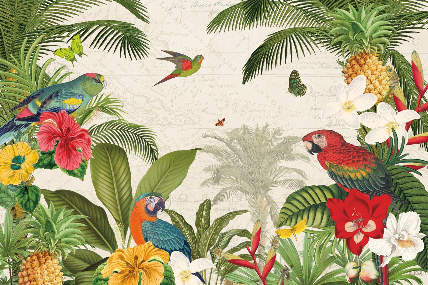 QUADRO PARROT PARADISE