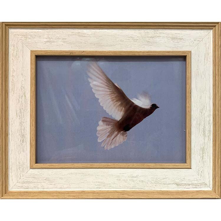 fotografija v okvirju