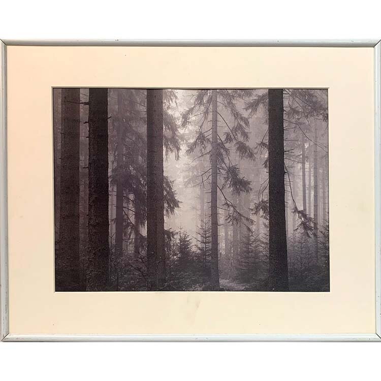 fotografija v okvirju