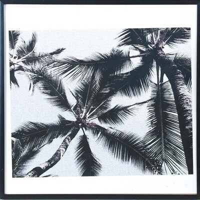 fotografija v okvirju - palma