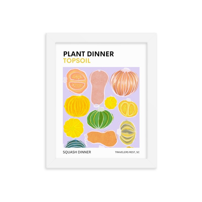 Squash Framed poster