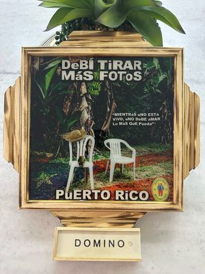 Tope De Domino “ Debí Tirar Mas Fotos” Bad Bunny (Hecho En PR)