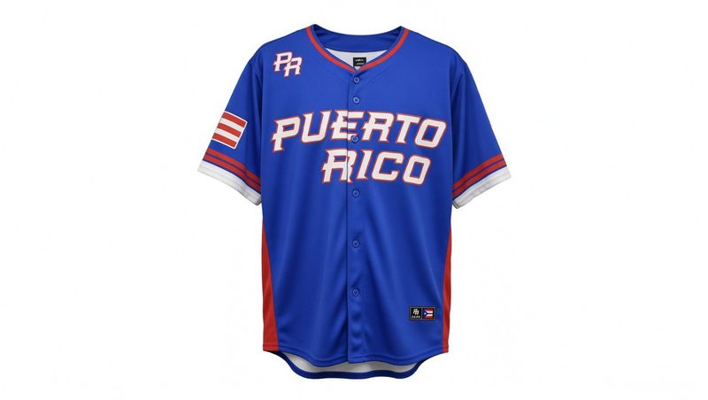 Camisa PR Jersey Clásico 2026 Team Rubio