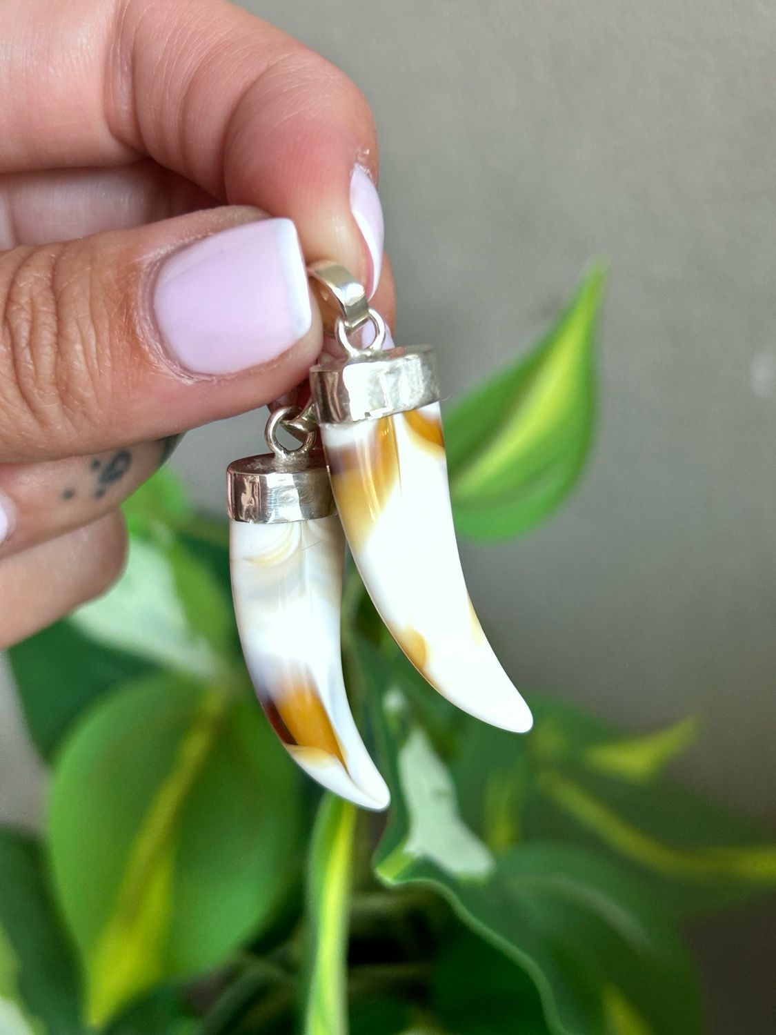 Colmillo de Resina 4 cm  *PLATA925