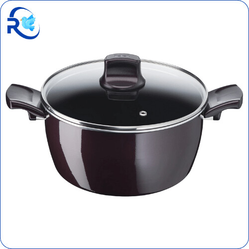 TEFAL RESIST INTENSE STEWPOT 26 CM- قدر تيفال ٢٦ سم