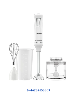 TAURUS BAPI 750 PURE PLUS INOX-750W