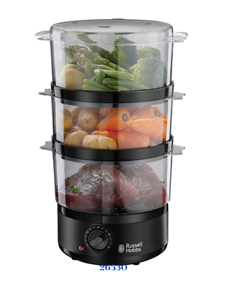 RUSSELL HOBBS COMPACT STEAMER_400W-7L
