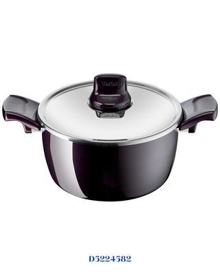 TEFAL RESIST INTENSE STEWPOT 22 CM WITH GLASS LID