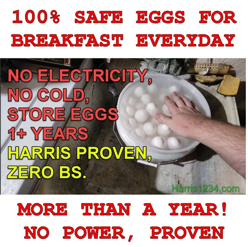 FOOD VIDEO PACK #2 How to Store Eggs in a 5 Gal Bucket for 1-2 YEARS with ZERO Electricity. NO Refrigeration. 50 min Total