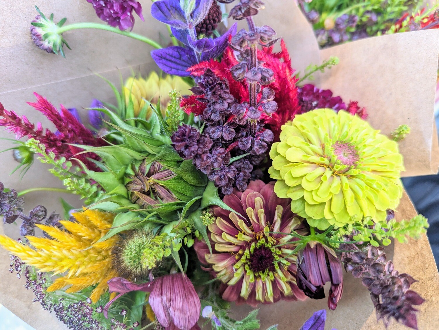1/2 CSA Bouquet Subscription 1/2 CSA Bouquet Subscription