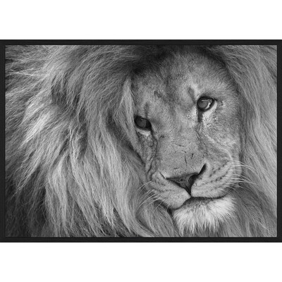 Riviera Maison Lion King 100x140cm