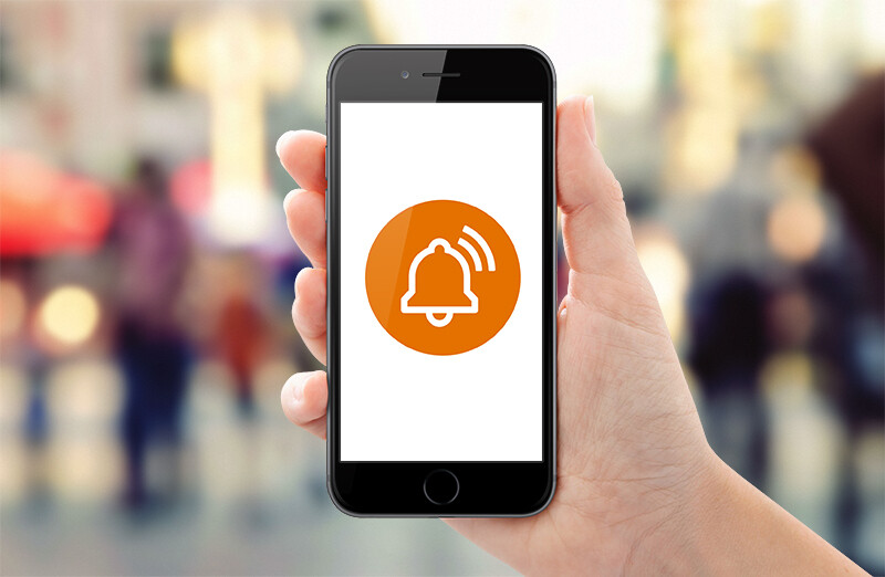 TeamAlerts: Basic Alert Subscription (monthly)
