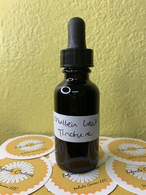 Mullein Leaf Tincture 1oz