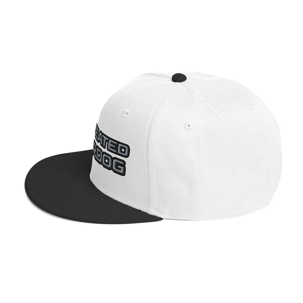 Undefeated Underdog Snapback Hat