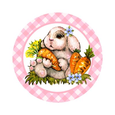 Cute Bunny Spring Easter Round Metal Sign