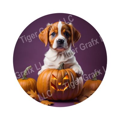 Cute puppy in Jack O Lantern Halloween Round Metal Sign