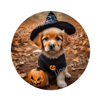 Cute puppy in costume Halloween Round Metal Sign