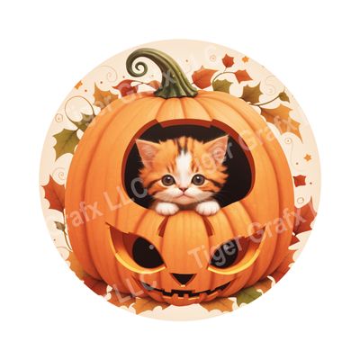 Cute Kitten in Jack O Lantern Halloween Round Metal Sign