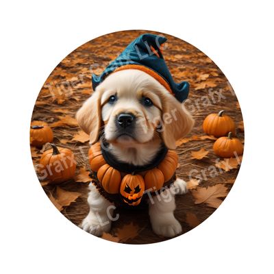 Cute puppy in costume Halloween Round Metal Sign