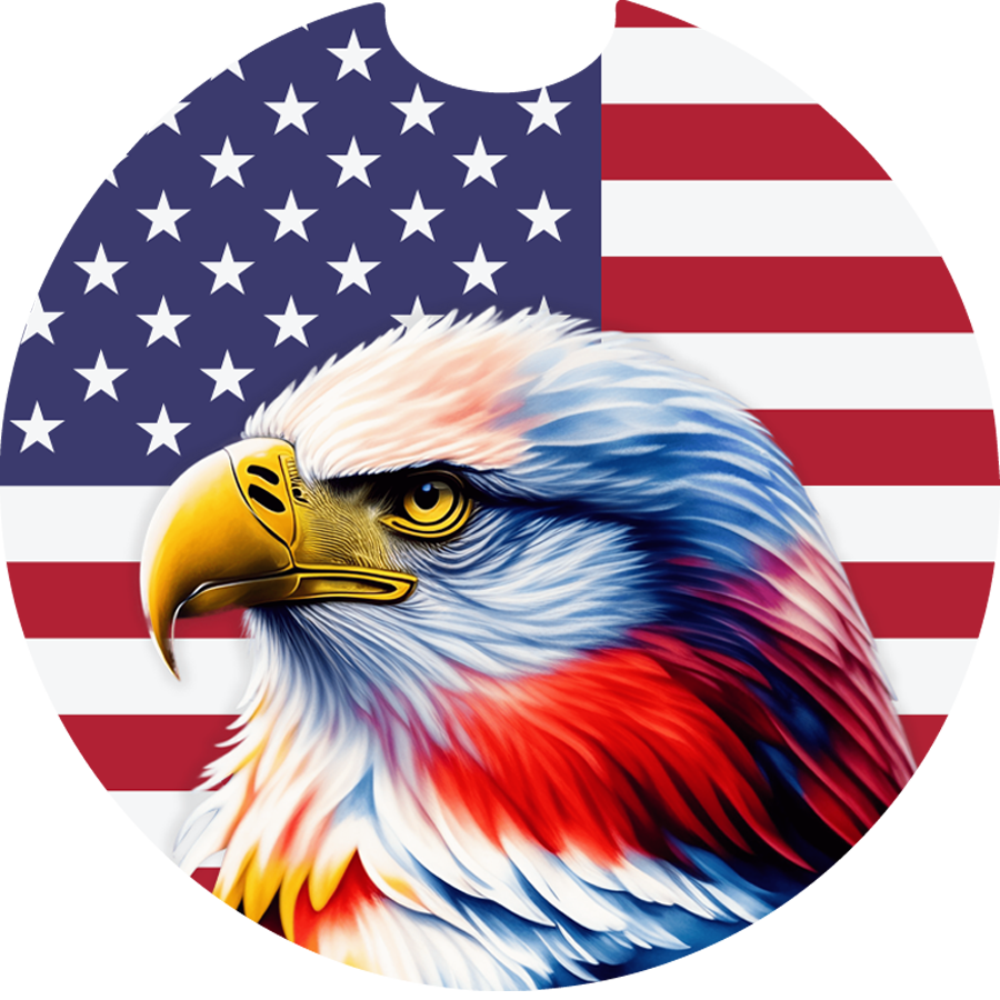 American Flag Patriotic Bald Eagle Sandstone Car Coaster