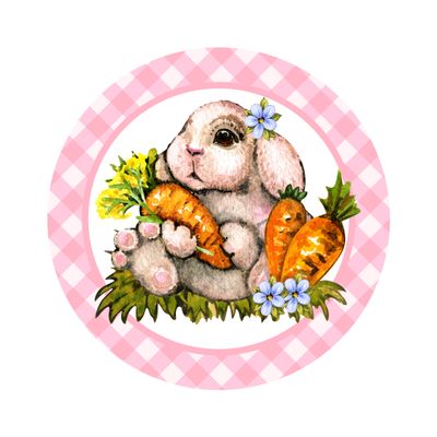 Easter Bunny - Wood door hanger / wreath decor sign