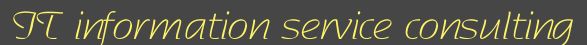 IT Information Service Consulting