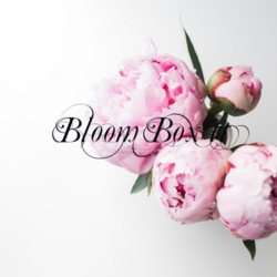Bloom box Tt
