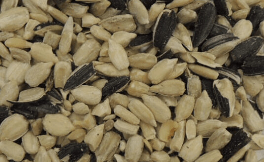 #2 Coarse Sunflower Chips 25lbs.