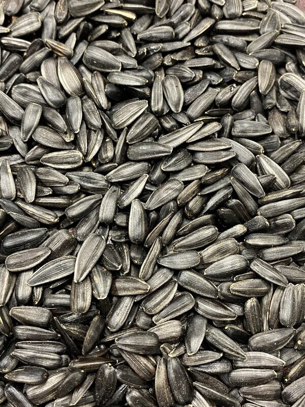 Black Oil Bird Food 25lbs.