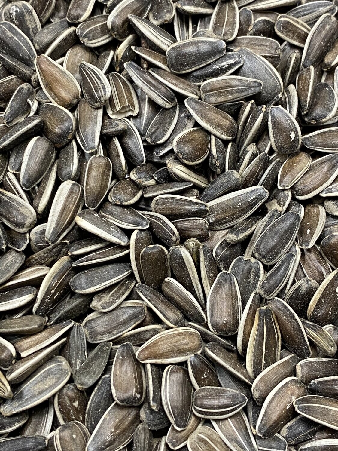 Con-Oil Bird Food 50lbs.