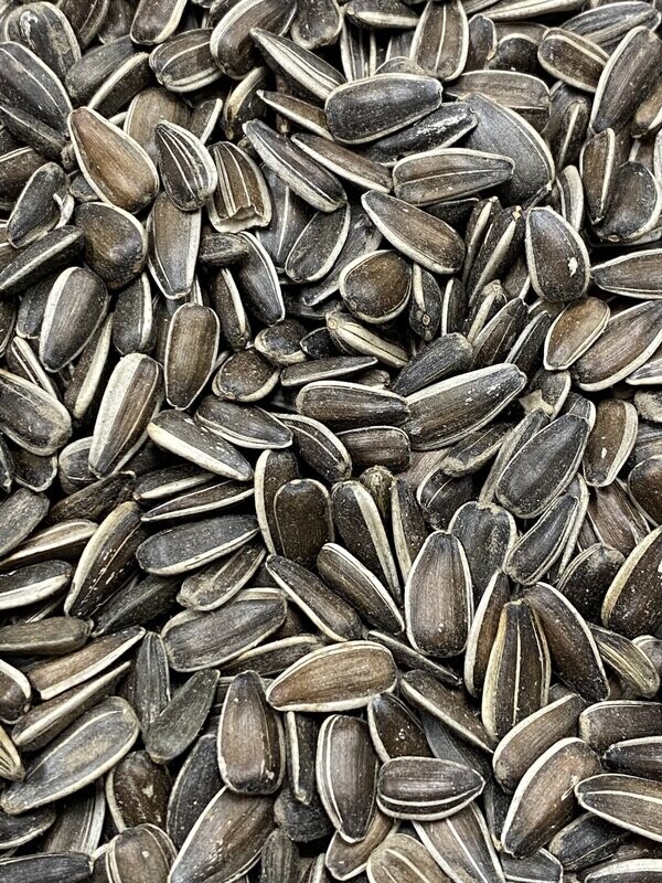 Con-Oil Bird Food 50lbs.