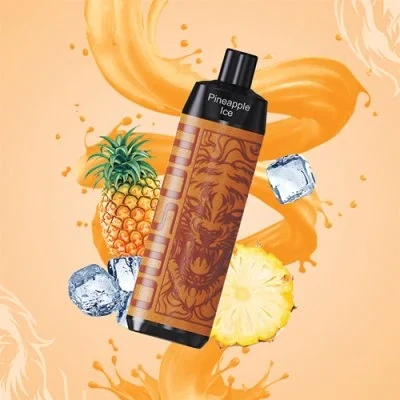 Storm X Rechargeable Bar - Pineapple Ice 5000 5mg DTL - 1S
