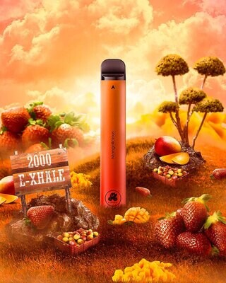 Disposable E-Cigarette - 2000 Puff - 35mg - Mangolicious