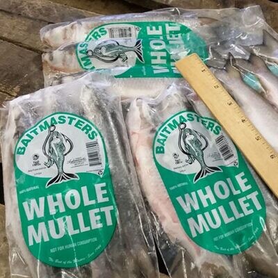 3 Pack Whole Mullet
