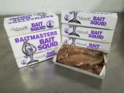 1lb Box Bait Squid