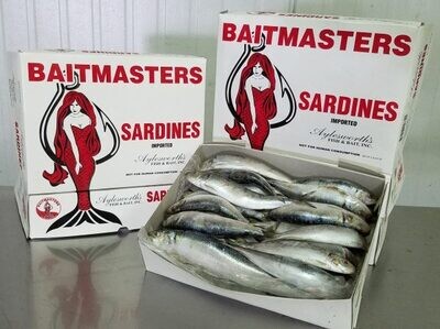 5lb Box Imported Sardines