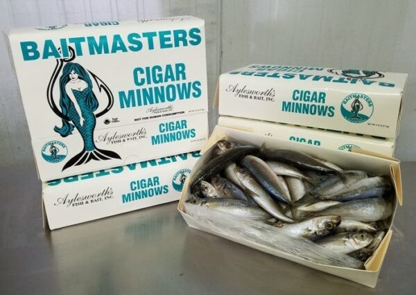 Case 8-5LB Cigar Minnows Baitmaster