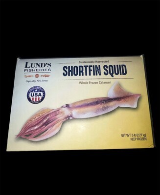 Frozen Squid Sea Fishing Bait - Buy Thailand Wholesale Frozen Squid Sea  Fishing Bait $150