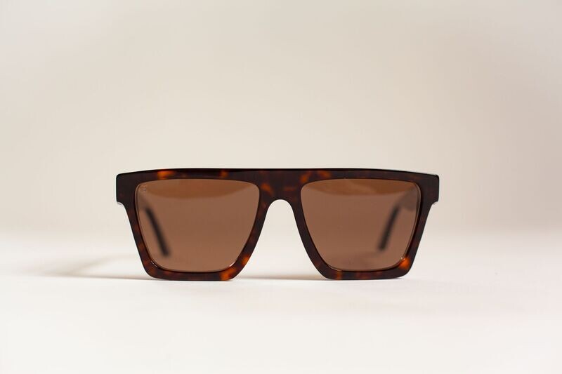 Modena - Dark Havana & Bronze | Polarised Modena - Dark Havana & Bronze | Polarised