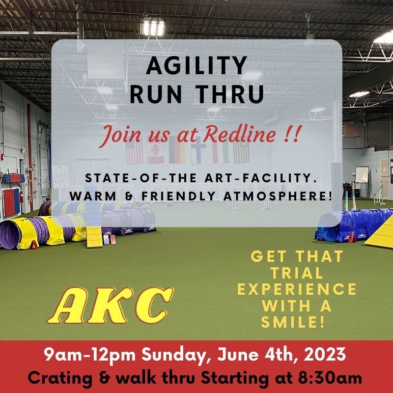 AKC Run Thru June 4th, 2023