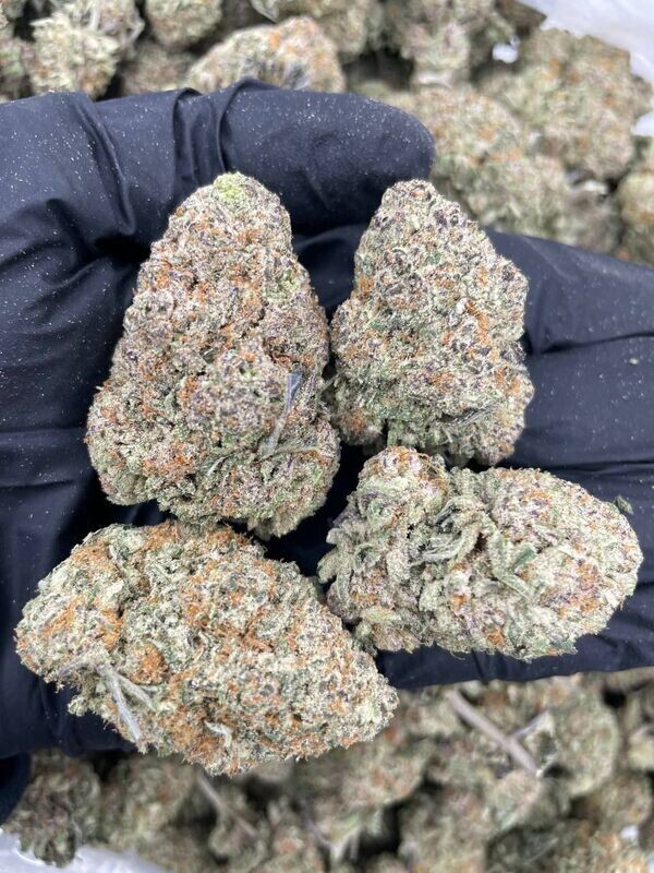 Top Shelf Exotic Buds (Discounted)