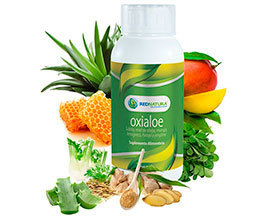 Oxialoe Bote 1L